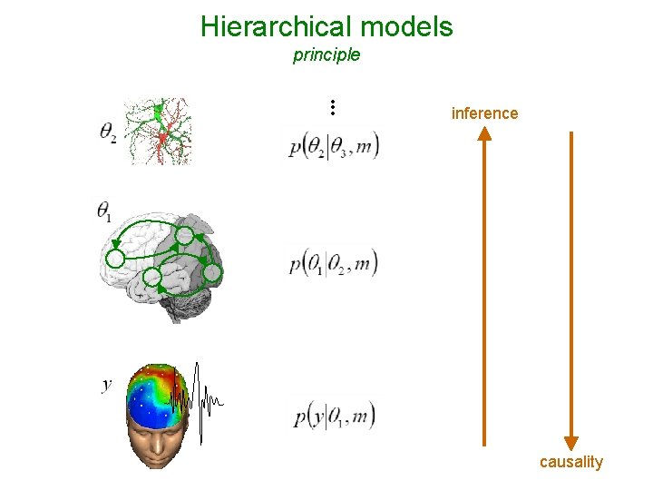 Hierarchical models principle • • • inference causality 