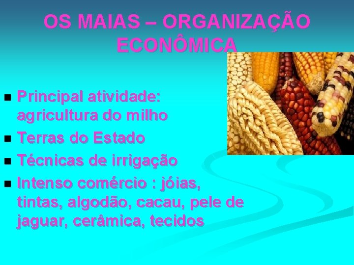 OS MAIAS – ORGANIZAÇÃO ECONÔMICA Principal atividade: agricultura do milho n Terras do Estado