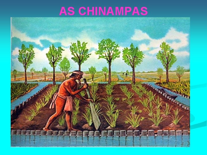 AS CHINAMPAS 