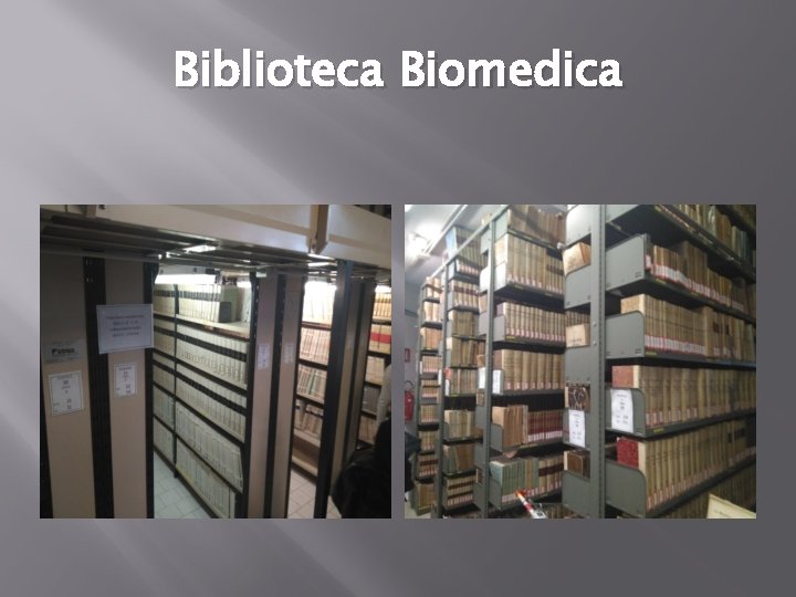 Biblioteca Biomedica 