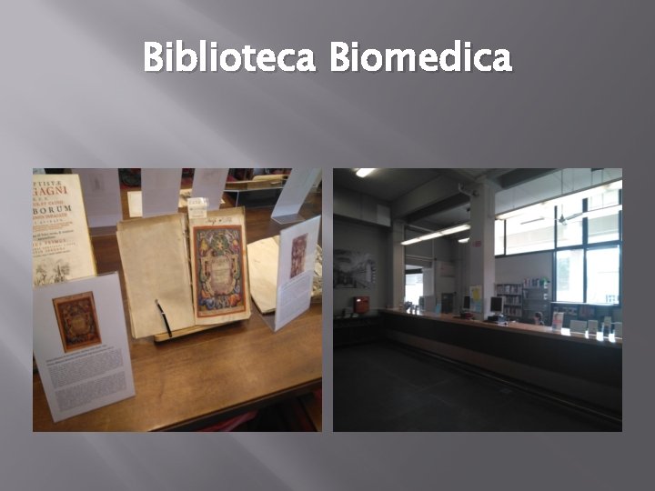 Biblioteca Biomedica 