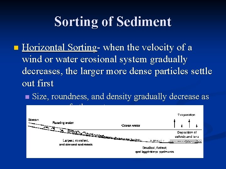 Sorting of Sediment n Horizontal Sorting- when the velocity of a wind or water