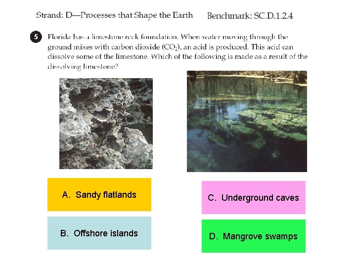 A. Sandy flatlands C. Underground caves B. Offshore islands D. Mangrove swamps 