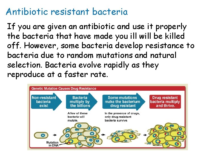 Antibiotic resistant bacteria If you are given an antibiotic and use it properly the