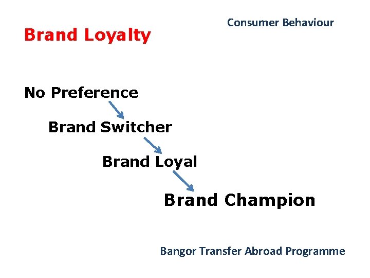 Consumer Behaviour Brand Loyalty No Preference Brand Switcher Brand Loyal Brand Champion Bangor Transfer