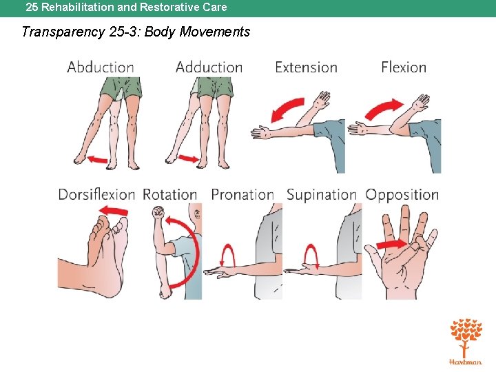 25 Rehabilitation and Restorative Care Transparency 25 -3: Body Movements 