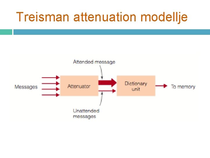 Treisman attenuation modellje 