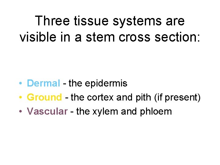 Three tissue systems are visible in a stem cross section: • Dermal - the