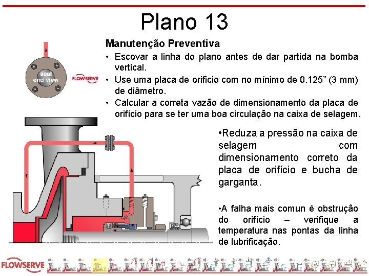 Plano 13 Manutenção Preventiva • Escovar a linha do plano antes de dar partida