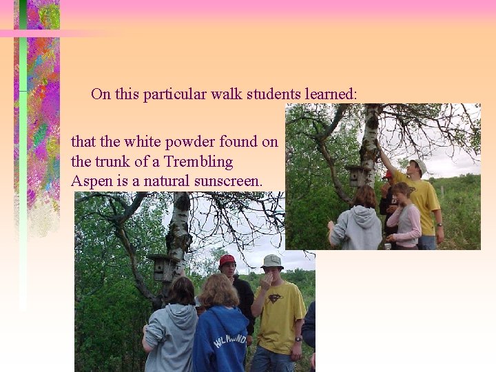 On this particular walk students learned: that the white powder found on the trunk