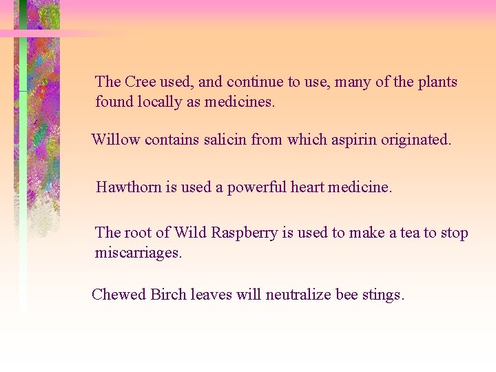 The Cree used, and continue to use, many of the plants found locally as