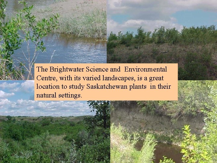 The Brightwater Science and Environmental Centre, with its varied landscapes, is a great location