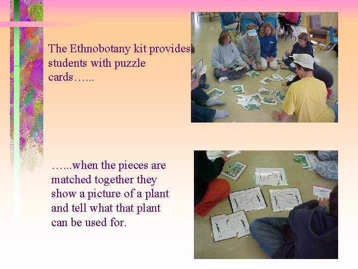 The Ethnobotany kit provides students with puzzle cards…. . . when the pieces are