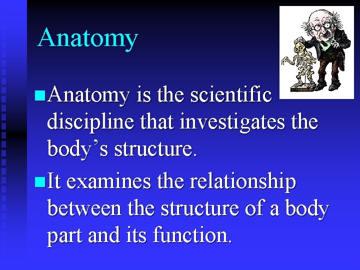 the scientific study of the structure of the human body is known as