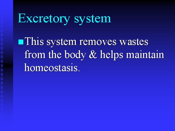 Excretory system n This system removes wastes from the body & helps maintain homeostasis.