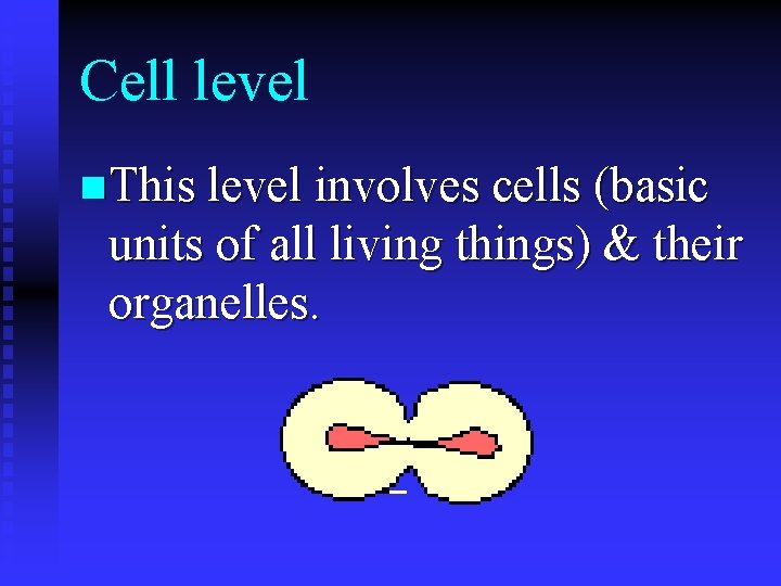 Cell level n This level involves cells (basic units of all living things) &