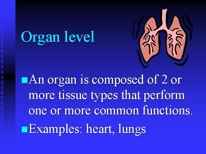 Organ level n An organ is composed of 2 or more tissue types that