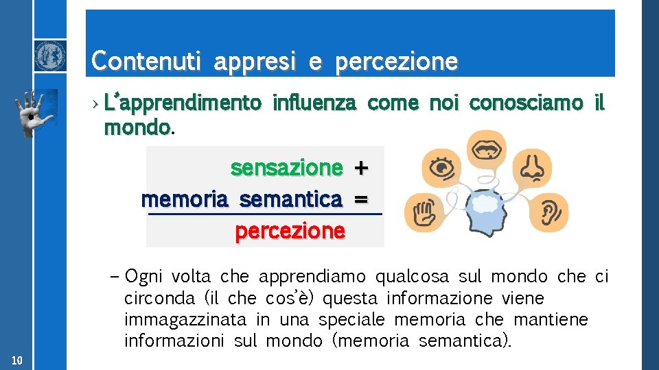 Contenuti appresi e percezione › L’apprendimento influenza come noi conosciamo il mondo sensazione +