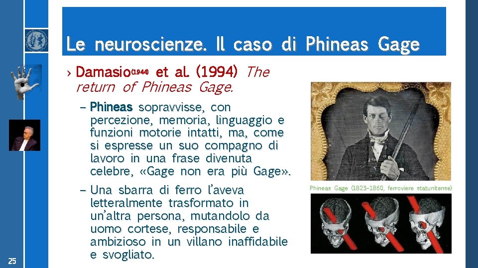 Le neuroscienze. Il caso di Phineas Gage › Damasio(1944) et al. (1994) The return