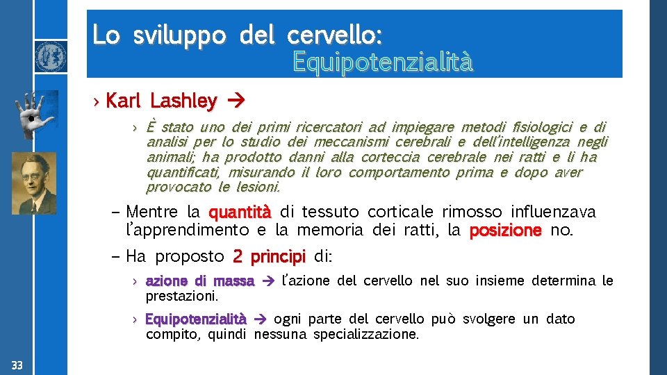 Lo sviluppo del cervello: Equipotenzialità › Karl Lashley › È stato uno dei primi