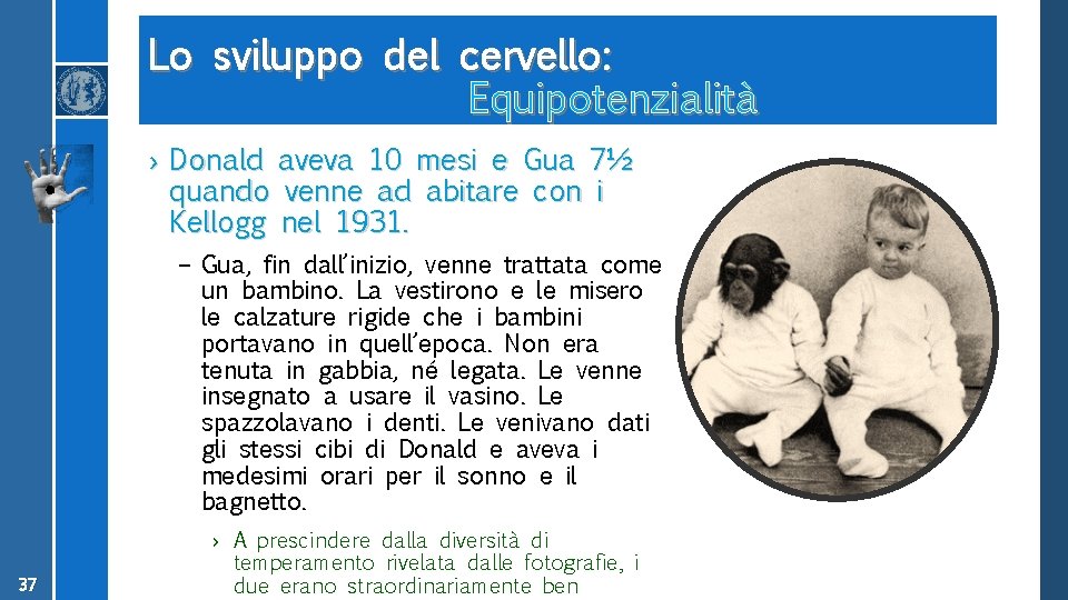 Lo sviluppo del cervello: Equipotenzialità › Donald aveva 10 mesi e Gua 7½ quando