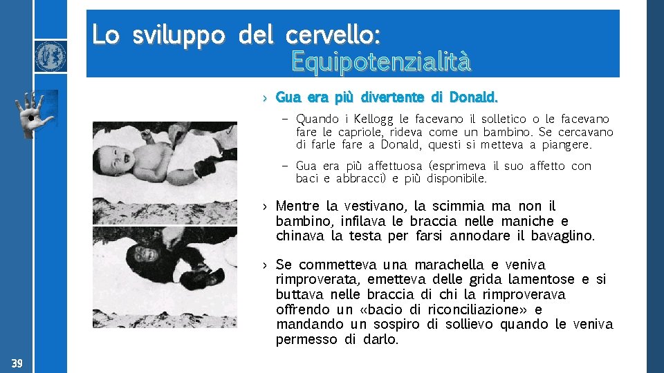 Lo sviluppo del cervello: Equipotenzialità › Gua era più divertente di Donald. – Quando