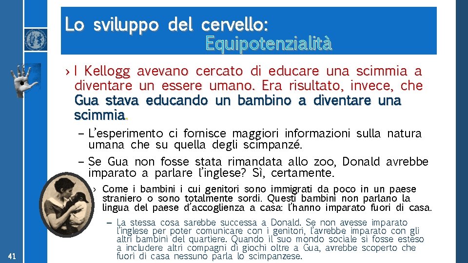 Lo sviluppo del cervello: Equipotenzialità › I Kellogg avevano cercato di educare una scimmia