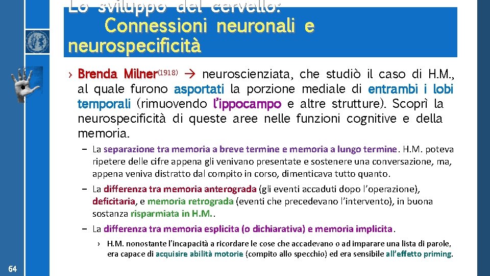 Lo sviluppo del cervello: Connessioni neuronali e neurospecificità › Brenda Milner(1918) neuroscienziata, che studiò