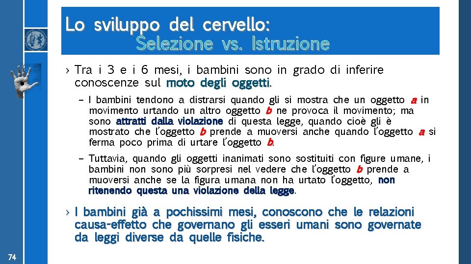 Lo sviluppo del cervello: Selezione vs. Istruzione › Tra i 3 e i 6