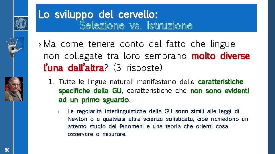 Lo sviluppo del cervello: Selezione vs. Istruzione › Ma come tenere conto del fatto