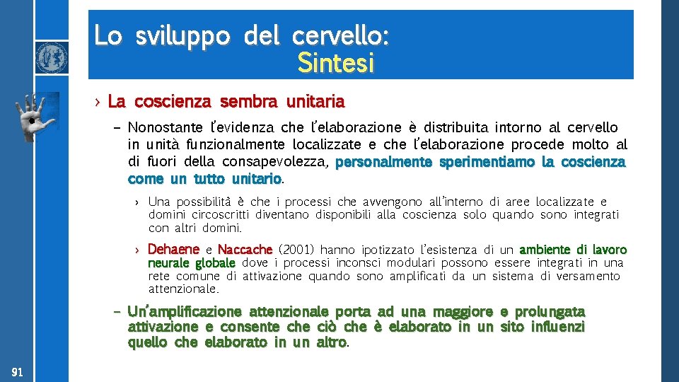 Lo sviluppo del cervello: Sintesi › La coscienza sembra unitaria – Nonostante l’evidenza che