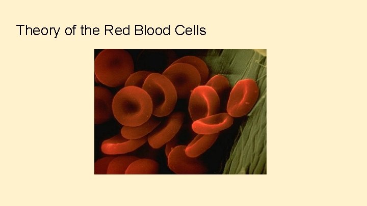 Theory of the Red Blood Cells 