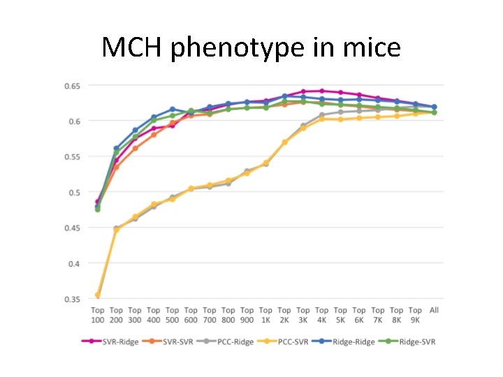 MCH phenotype in mice 