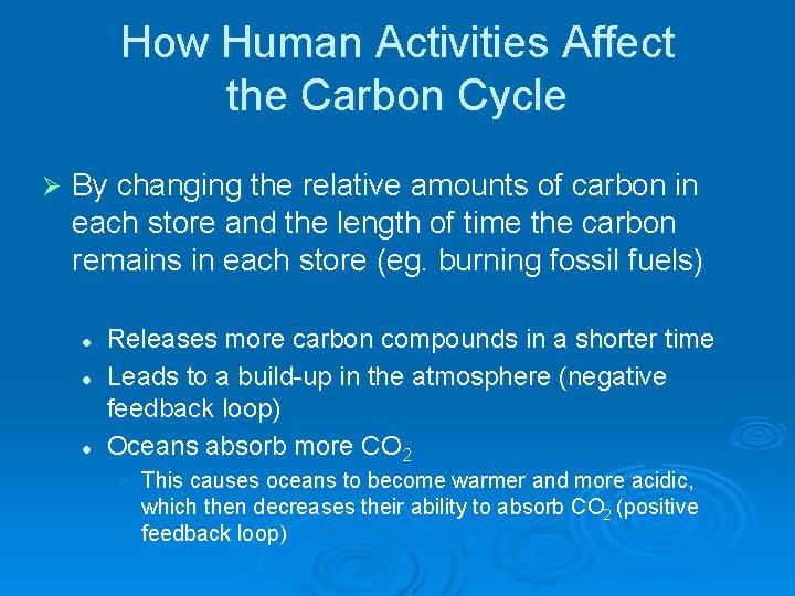 How Human Activities Affect the Carbon Cycle Ø By changing the relative amounts of