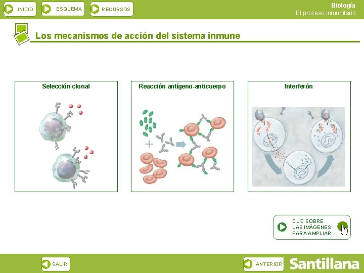 INICIO ESQUEMA Biología El proceso inmunitario RECURSOS Los mecanismos de acción del sistema inmune