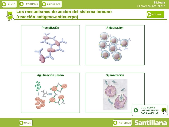 INICIO ESQUEMA Biología El proceso inmunitario RECURSOS Los mecanismos de acción del sistema inmune