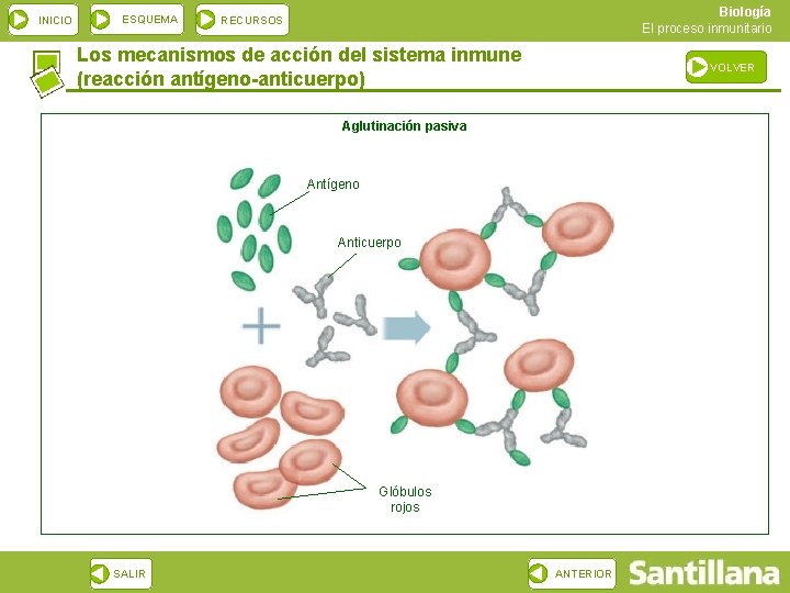 INICIO ESQUEMA Biología El proceso inmunitario RECURSOS Los mecanismos de acción del sistema inmune