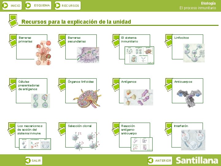 ESQUEMA INICIO Biología El proceso inmunitario RECURSOS Recursos para la explicación de la unidad