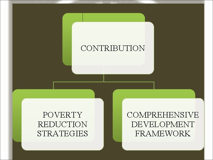 CONTRIBUTION POVERTY REDUCTION STRATEGIES COMPREHENSIVE DEVELOPMENT FRAMEWORK 