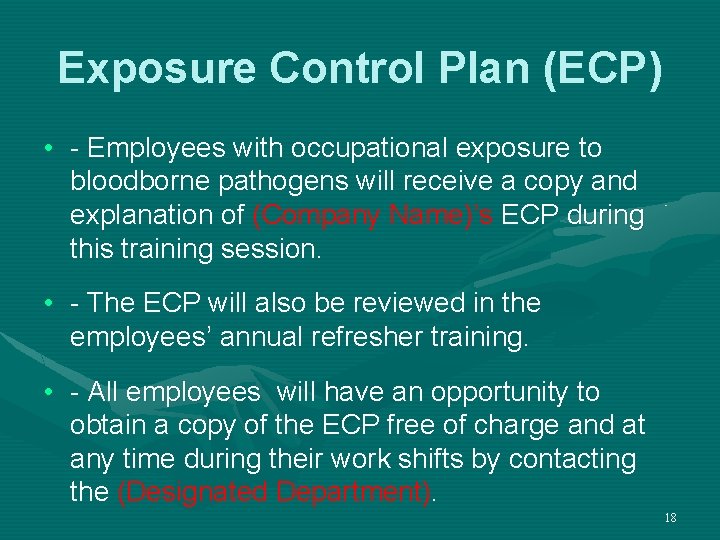 Exposure Control Plan (ECP) • - Employees with occupational exposure to bloodborne pathogens will