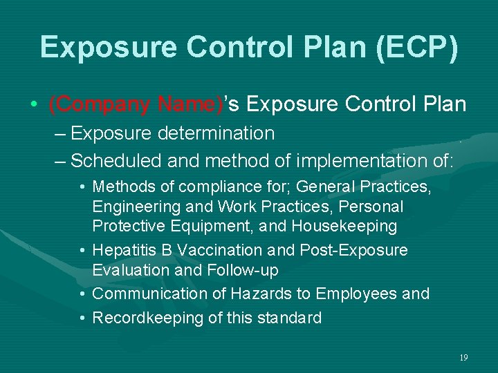 Exposure Control Plan (ECP) • (Company Name)’s Exposure Control Plan – Exposure determination –