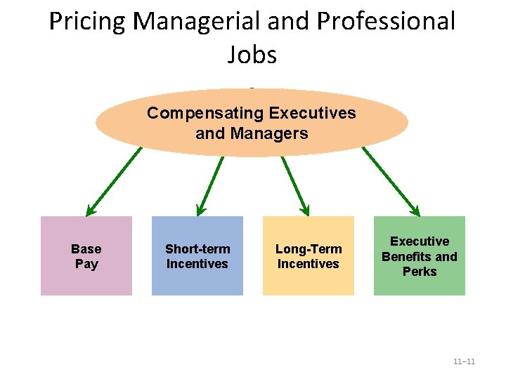 Pricing Managerial and Professional Jobs Compensating Executives and Managers Base Pay Short-term Incentives Long-Term