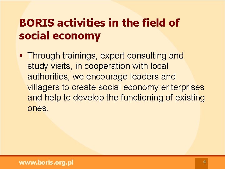 BORIS activities in the field of social economy § Through trainings, expert consulting and