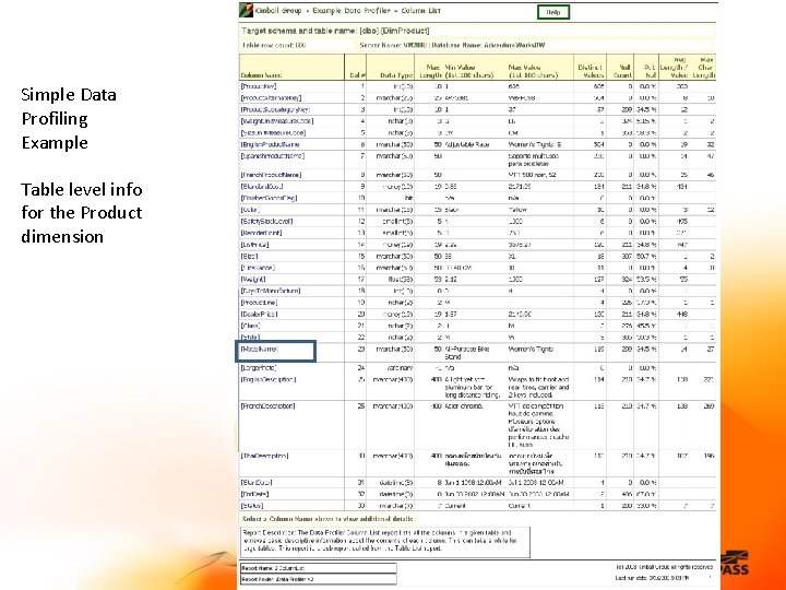 Simple Data Profiling Example Table level info for the Product dimension 