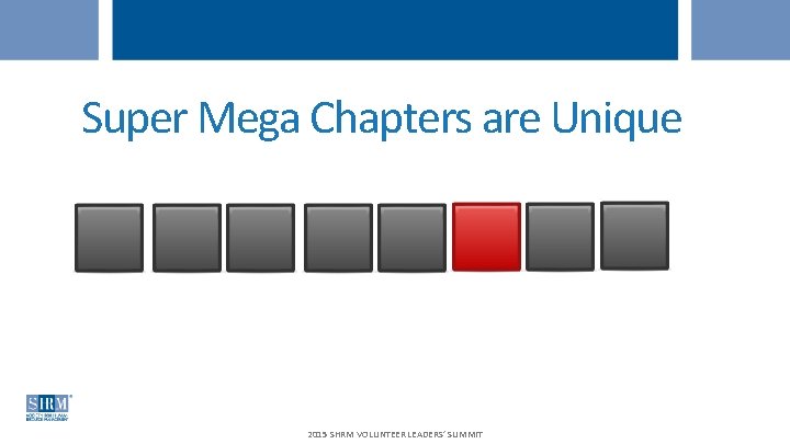 Super Mega Chapters are Unique 2015 SHRM VOLUNTEER LEADERS’ SUMMIT 