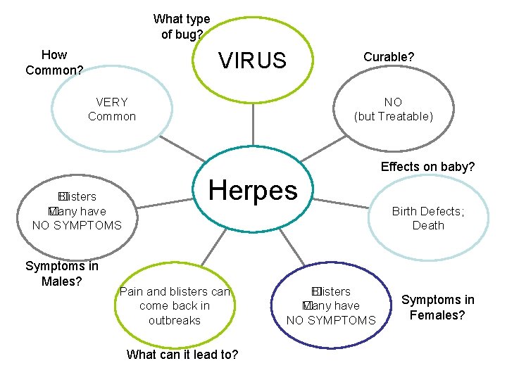 SEXUALLY TRANSMITTED DISEASES What type of bug How