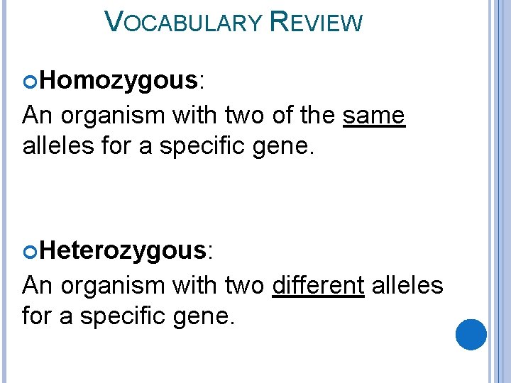 VOCABULARY REVIEW Homozygous: An organism with two of the same alleles for a specific