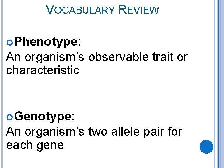 VOCABULARY REVIEW Phenotype: An organism’s observable trait or characteristic Genotype: An organism’s two allele