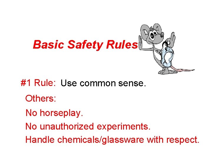 Basic Safety Rules #1 Rule: Use common sense. Others: No horseplay. No unauthorized experiments.