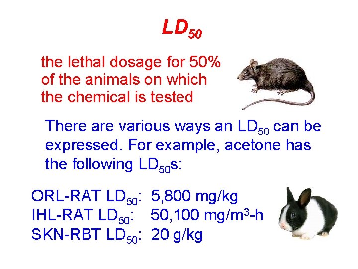 LD 50 the lethal dosage for 50% of the animals on which the chemical